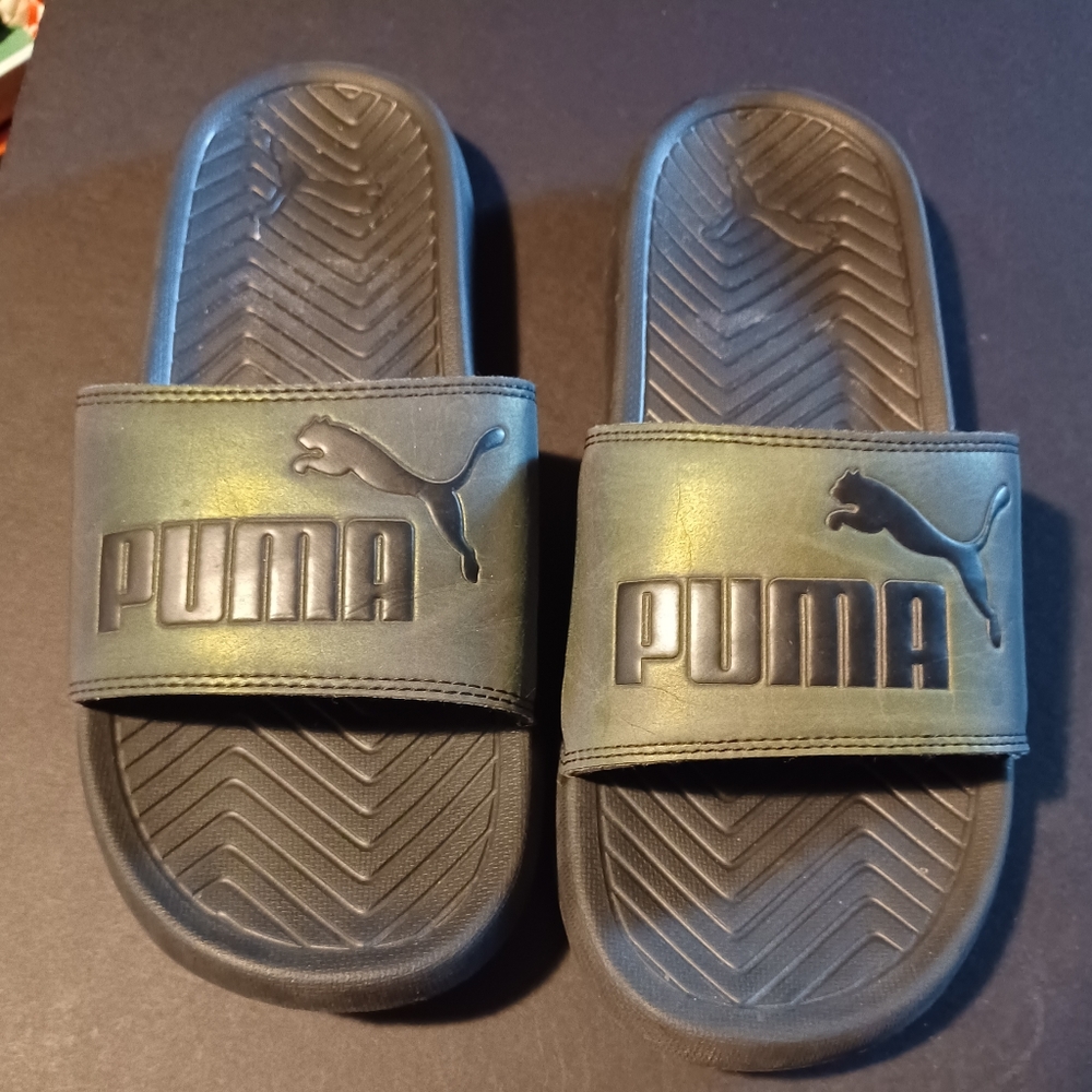 Puma slides